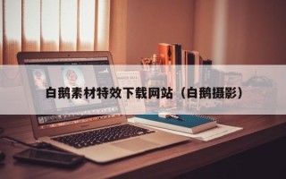 马鞍山白鹅素材特效下载网站（白鹅摄影）